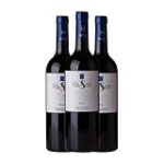 Análisis detallado de Flavus Viña Sastre: descubre el mejor vino para tu paladar