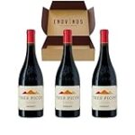 Descubriendo los Tesoros enológicos: Análisis y Comparativa de los Mejores Vinos de Campo de Borja