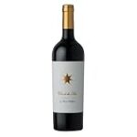 Análisis comparativo: Clos de los Siete, un vino excepcional que debes probar