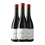Análisis y comparativa de los mejores vinos de la Denominación de Origen Conca de Barberà Análisis y comparativa de los mejores vinos de la Denominación de Origen Conca de Barberà