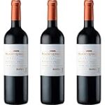 Análisis y comparativa: Descubre el encanto del vino Palacio Quemado