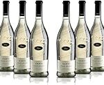La excelencia del Pinot Grigio español: análisis y comparativa de los mejores vinos