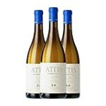 Análisis y comparativa: Descubre el encanto de Attis Mar, un vino único
