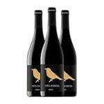 Análisis de Viña Zorzal Señora de las Alturas: Descubre el Mejor Vino de Altura