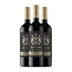 Análisis y comparativa de los mejores vinos Bujanda: Descubre la excelencia en cada copa Análisis y comparativa de los mejores vinos Bujanda: Descubre la excelencia en cada copa
