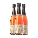 Descubre la excelencia enológica de Jané Ventura: Análisis y comparativa de los mejores vinos
