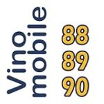 Análisis de las Mejores Añadas de Vinos: Descubre las Perlas de Cada Temporada Análisis de las Mejores Añadas de Vinos: Descubre las Perlas de Cada Temporada
