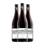 Análisis en profundidad: Descubre el dominio del soto en los mejores vinos del mercado Análisis en profundidad: Descubre el dominio del soto en los mejores vinos del mercado
