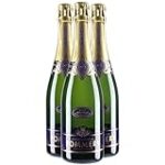 Análisis de precios: Pommery Champagne vs. otras opciones destacadas en el mundo del vino