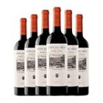 Análisis de precio: Coto de Imaz Reserva 2018 - ¿Vale la pena su inversión?