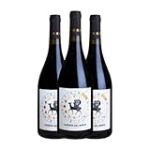Descubriendo los Tesoros en las Laderas del Norte: Análisis de los Mejores Vinos