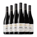Análisis y comparativa del vino Aneto 3404: Descubre sus secretos y sabores únicos