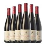 Análisis y comparativa: Guímaro Ribeira Sacra, un tesoro enológico por descubrir