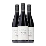 Análisis de los mejores vinos para preparar un delicioso vino caliente en Madrid
