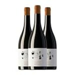 La Casa de los Frailes: Deleite enológico a través de excepcionales vinos