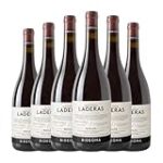 Bideona Laderas: Descubre los Mejores Vinos de la Región en un Análisis Detallado