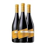 Capricho de Merenzao: Descubre el tesoro escondido entre los mejores vinos Capricho de Merenzao: Descubre el tesoro escondido entre los mejores vinos