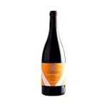 Los tesoros del Valle del Douro: Análisis y comparativa de los mejores vinos